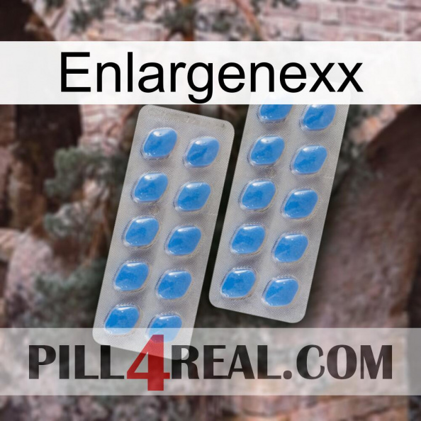 Enlargenexx 23.jpg